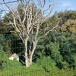 La Casa Roja Asturias Сasa de vacaciones Hontoria